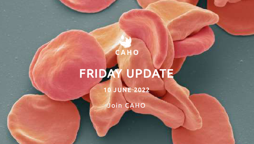 Caho Friday Update